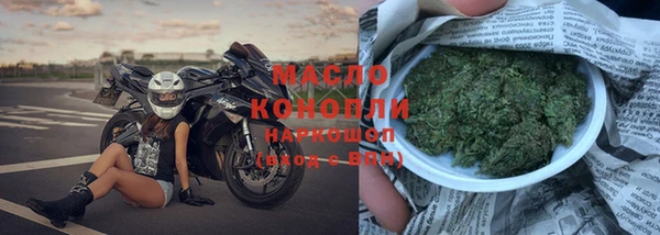 твердый Новодвинск